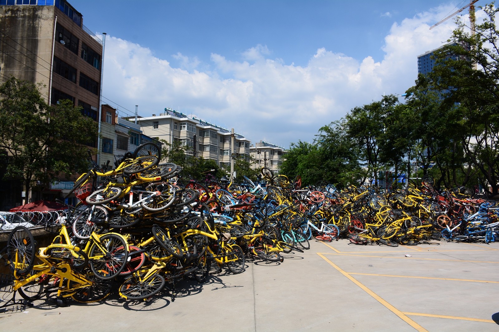 10万辆共享单车堆积成山 – 博海拾贝