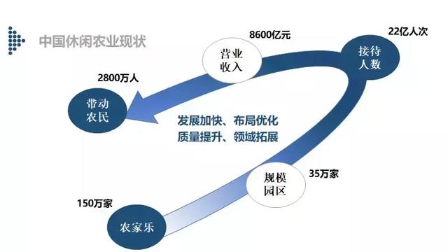 彭山问道｜千秋大业一壶茶