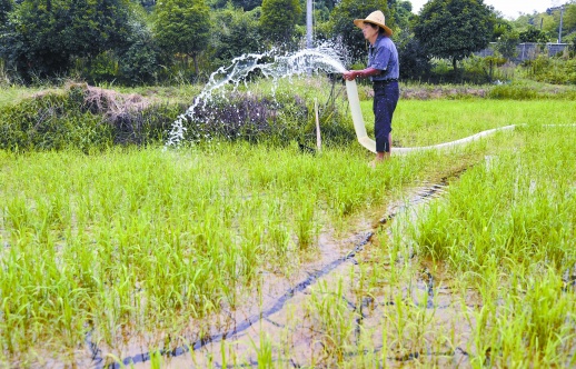 抽水抗旱保生产