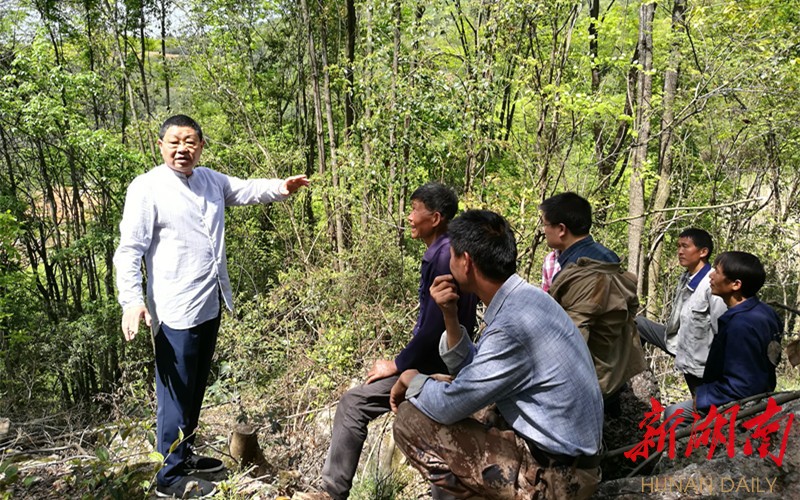 把一个贫困村建设成全国美丽乡村的山羊冲村村委会主任黎静.