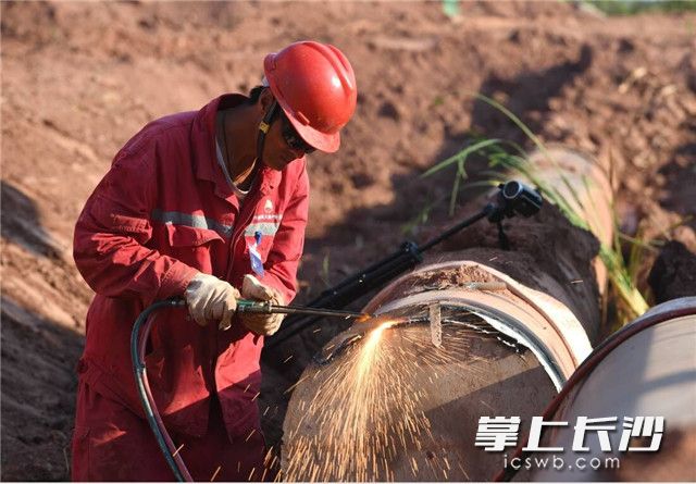 今日凌晨，长沙地铁3号线一期工程忠武输气管道长沙县段迁改工程顺利完工。 图片均为长沙晚报记者 王志伟 摄