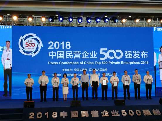 2019年中国民营经济500强_2018中国民营企业500强(2)