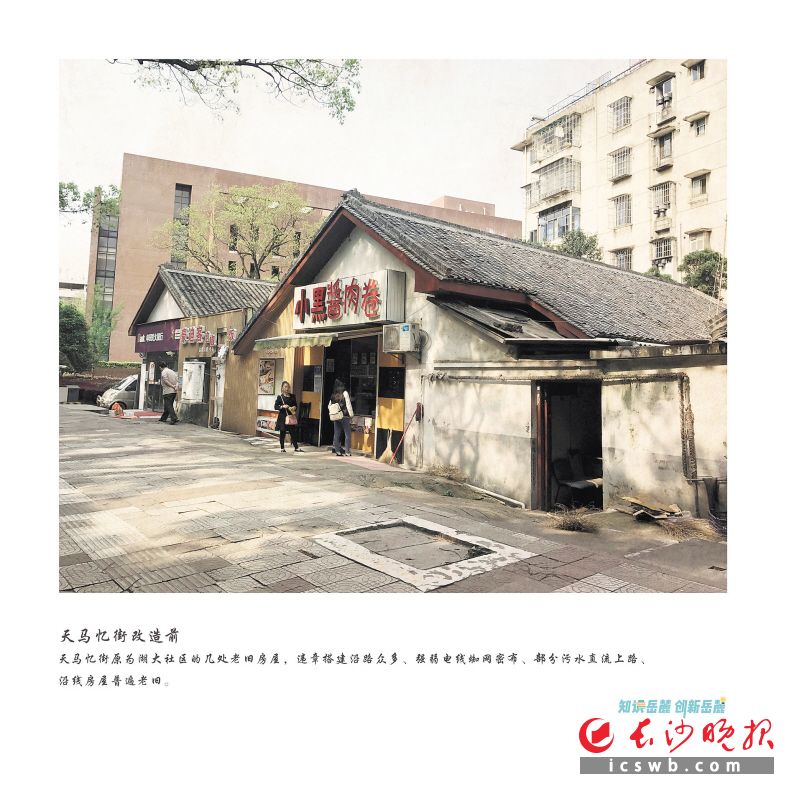 均为岳麓区委宣传部 供图