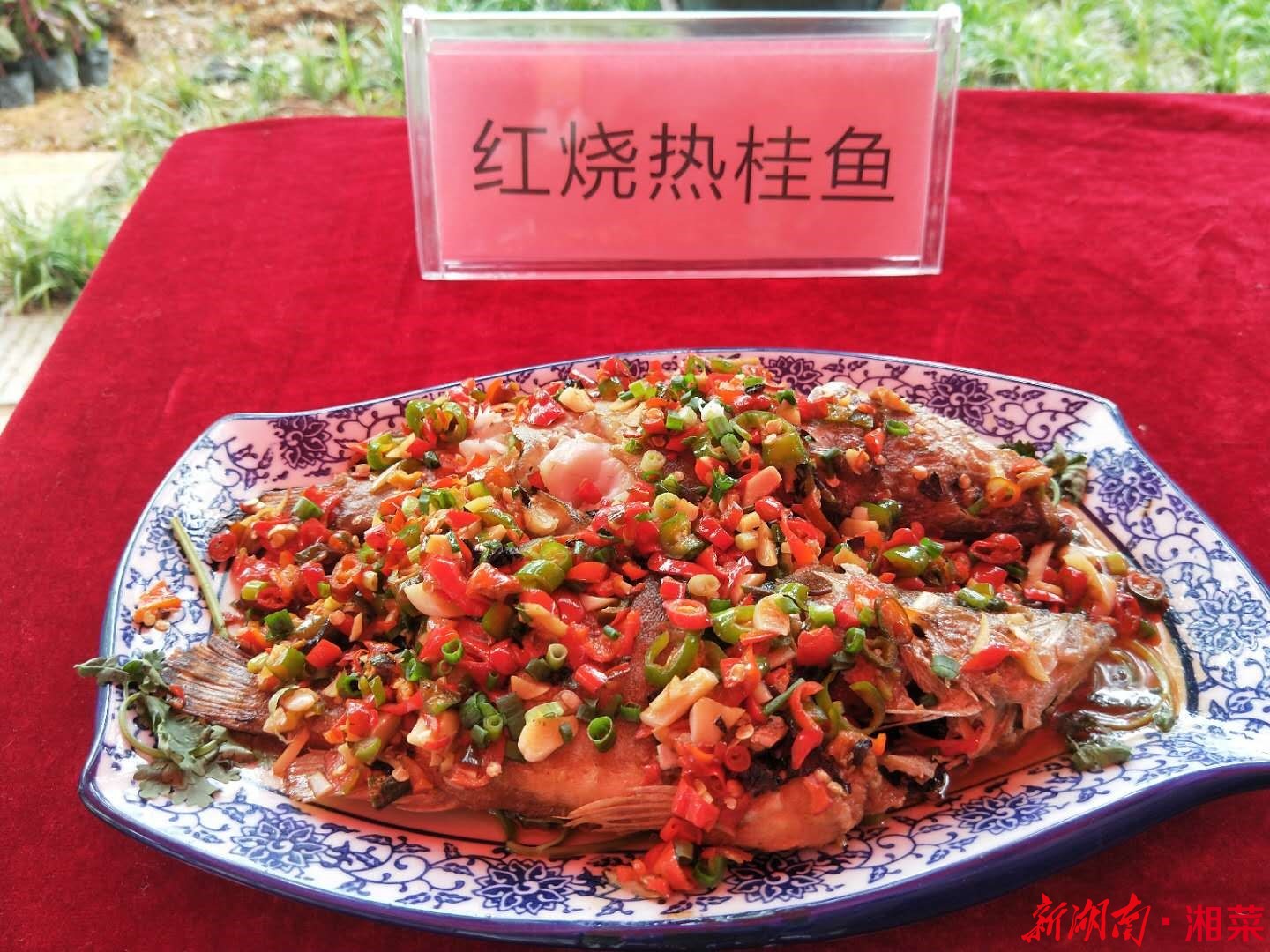 水韵江苏·自媒体联盟大赏 | 徐州窑湾船菜：食在风景里，养生养心
