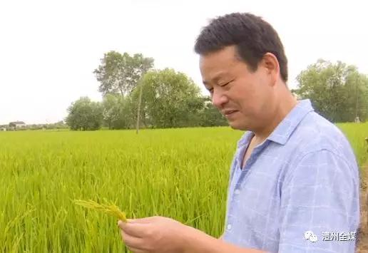 【新时代 新担当 新作为】澧县城头山镇颜军:用