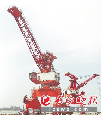 铜官港区位于望城高新技术产业开发区，近期建设2个2000吨级（兼顾3000吨级）件杂货泊位、5个3000吨级（兼顾5000吨级）多用途泊位以及2个商品汽车滚装泊位。望城高新区供图