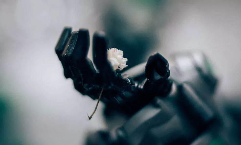 大脑控制、赢世界冠军?机械臂竟厉害到这种程