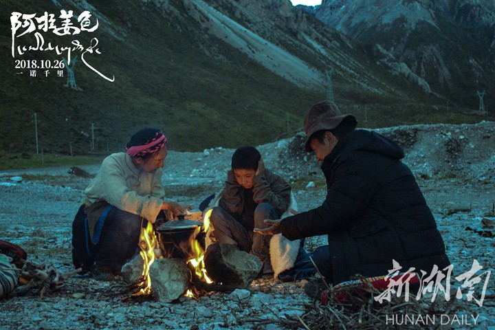 《阿拉姜色》牛仔松太加:为小视跪烂三条导演拍戏频超跑图片