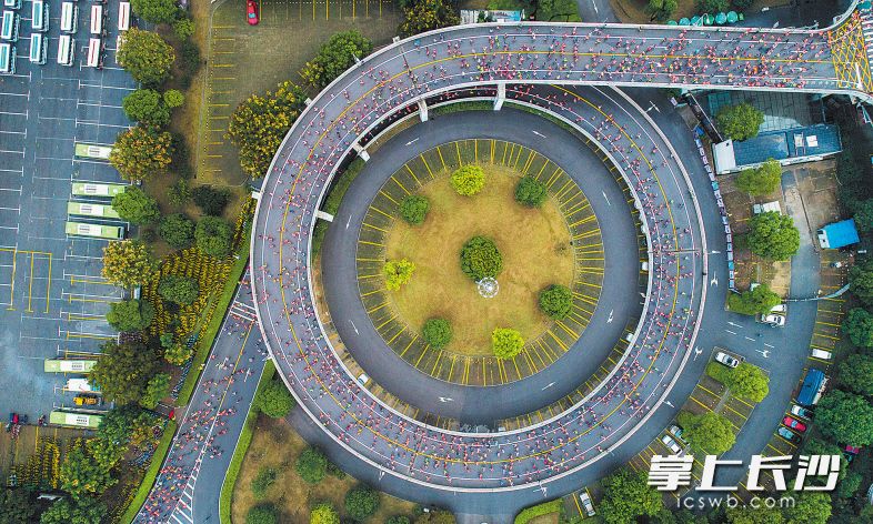 参赛选手由橘子洲大桥进入橘子洲时，场面非常壮观。