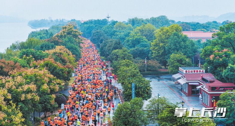 昨日上午，2018长沙国际马拉松赛在芙蓉中路贺龙体育馆东广场开跑，图为参赛选手们正奔跑在橘子洲上，靓丽的衣服和彩色的栾树相得益彰。