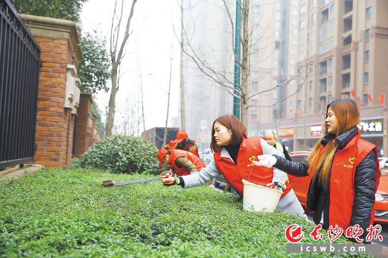 长沙县泉塘街道景星社区开展城乡大清洁活动，志愿者们走上街头，为社区环境卫生出力。曾诗怡 摄 