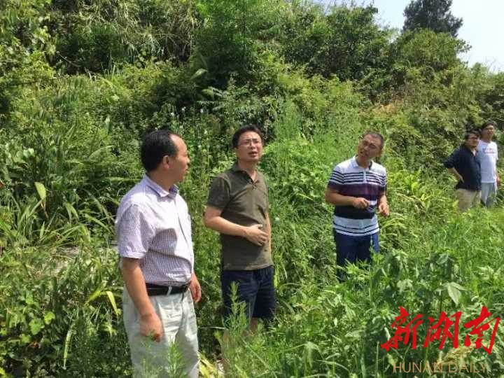 興文化美村貌強產業!湖南湘江新區助力里耶脫貧