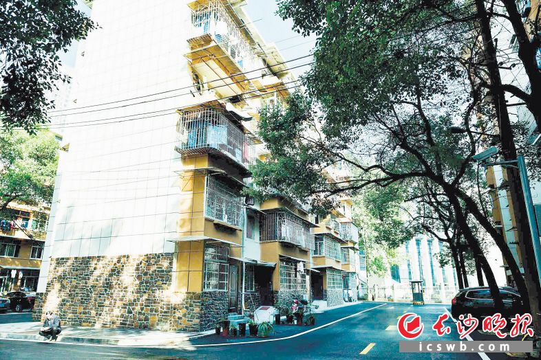 长沙首个无垃圾桶小区落户 4个垃圾分类站年减