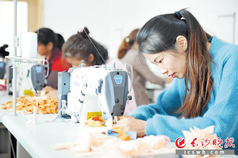 昨日，望城区白箬铺镇黄泥铺村，村姑们正在缝制毛绒玩具。在家门口打工，既能赚钱又能带孩子，大伙都很高兴。长沙晚报记者 小刘军 摄