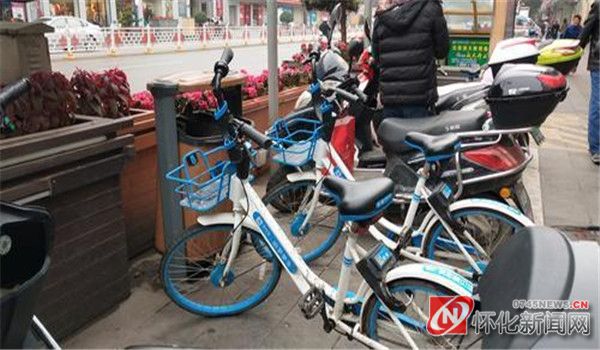 哈罗单车有序排放在中心市场非机动车道上