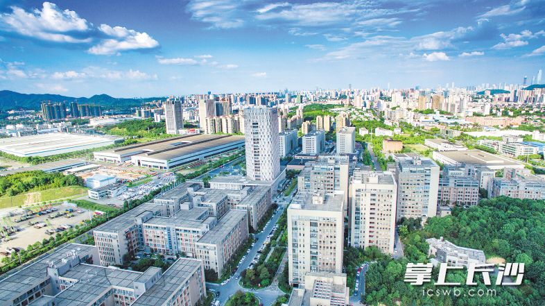 长沙各区县（市）、各大园区的中小微企业可通过知识产权质押等方式向银行申请贷款。 资料图片