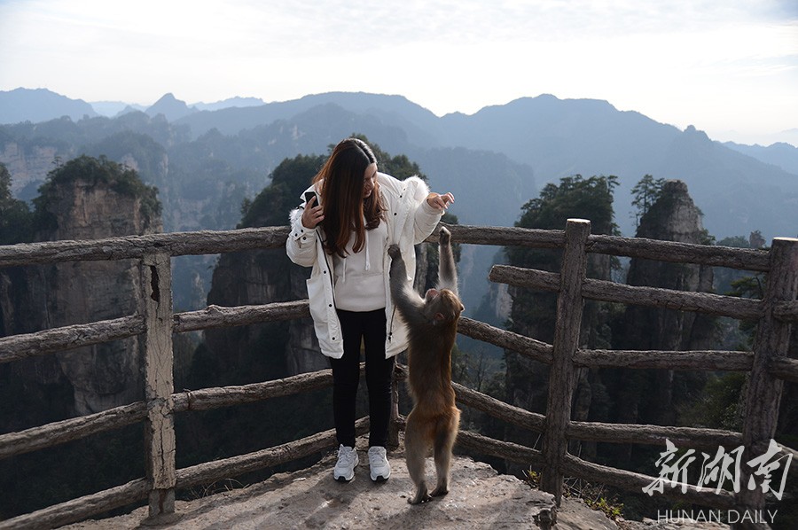 让你“猴开森” 新湖南www.hunanabc.com