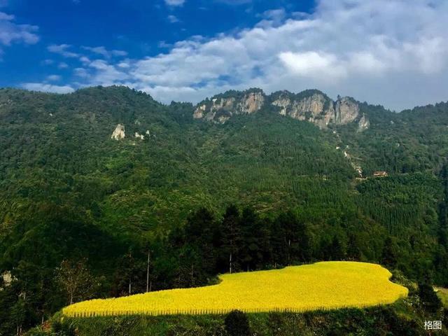 张建永:雪峰山文旅集团十字真经