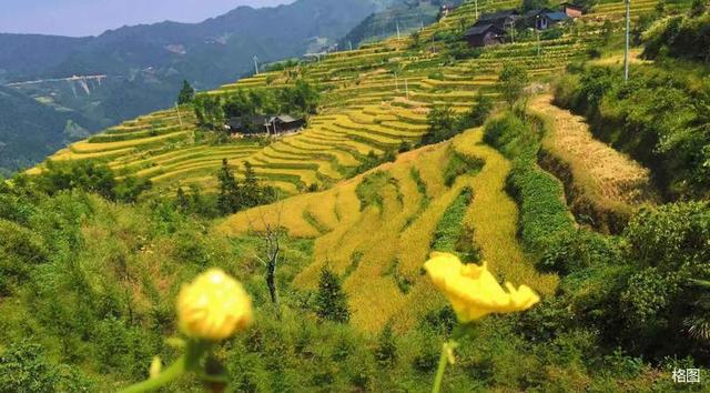 张建永:雪峰山文旅集团十字真经