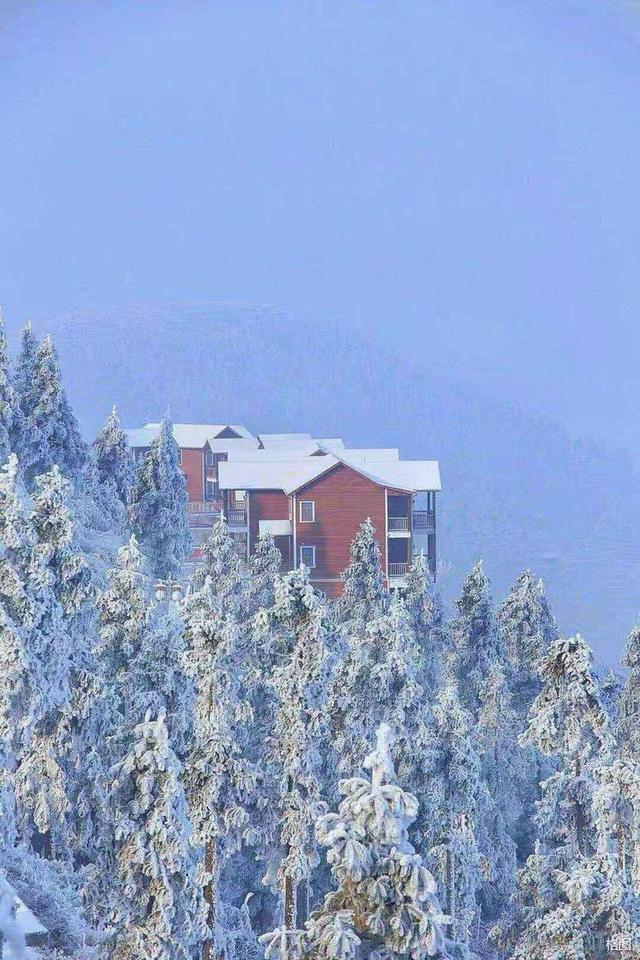 张建永:雪峰山文旅集团十字真经