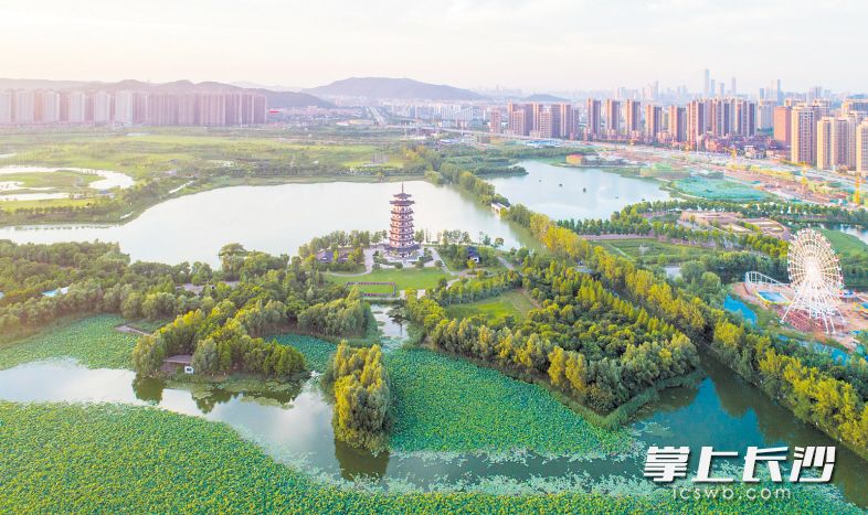 近年来,长沙环境越来越好,城市越来越美,居民幸福指数节节高。 长沙晚报记者 邹麟 摄