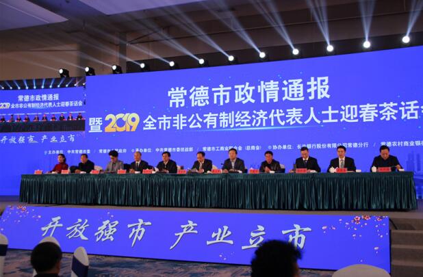 2019非国有经济_国有经济的衰弱与中国的未来