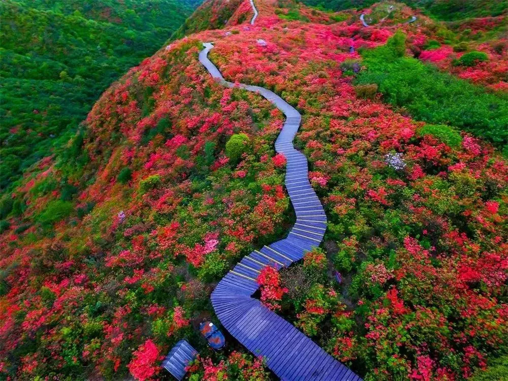 长沙这些地方人少景美,你知道吗?