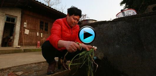 【十二道湘味】“两癌”免费筛查在行动