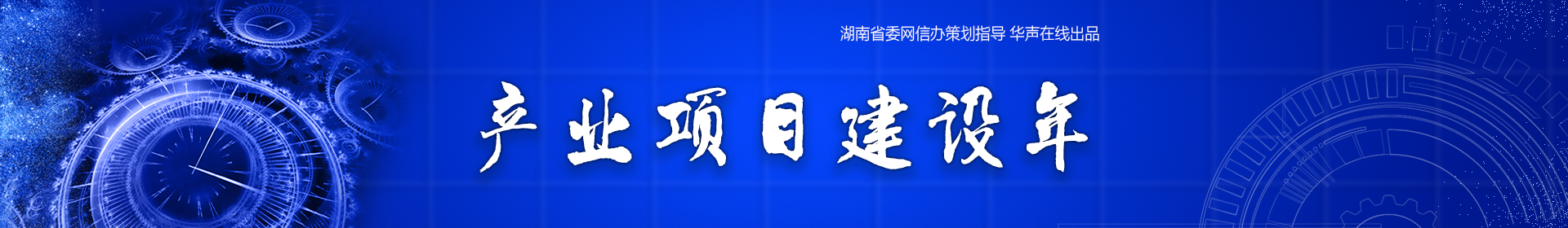 产业项目建设年