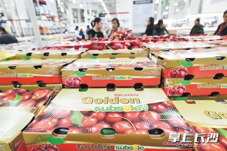 今年春节期间，线上销售平台、线下超市水果店的车厘子热销，成为年货爆款。 长沙晚报全媒体记者 王志伟 摄