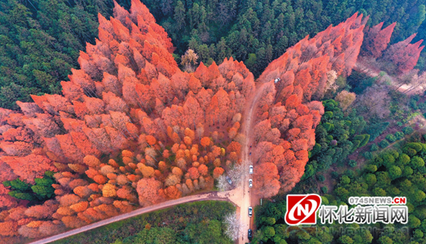 微信图片_20190226071908_副本