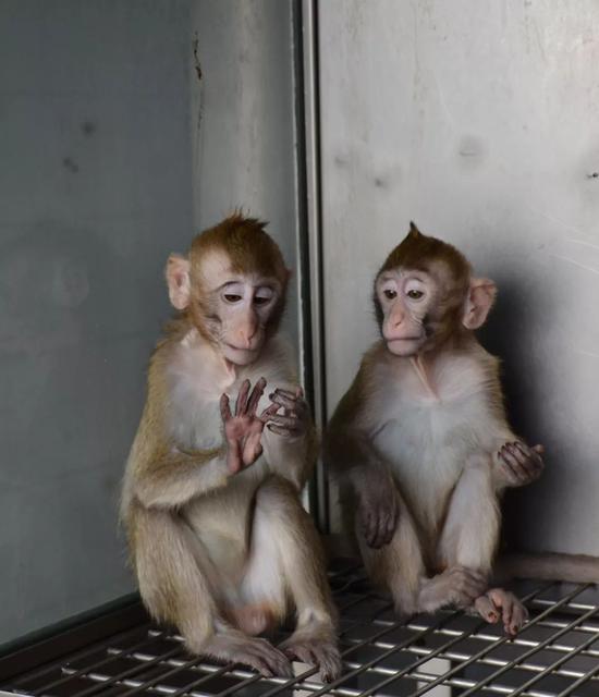 （图片来源：科技部）