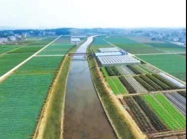 绿色发展奏强音——涟源市桥头河镇创建全国农业产业
