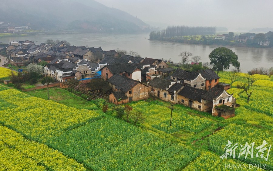 3月17日,春雨中的衡东县杨林镇格外迷人.