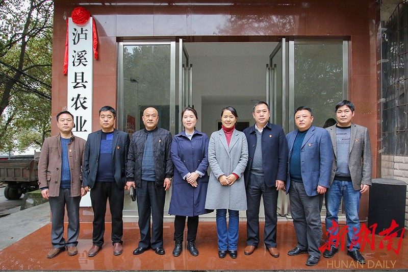 泸溪县农业农村局举行挂牌仪式