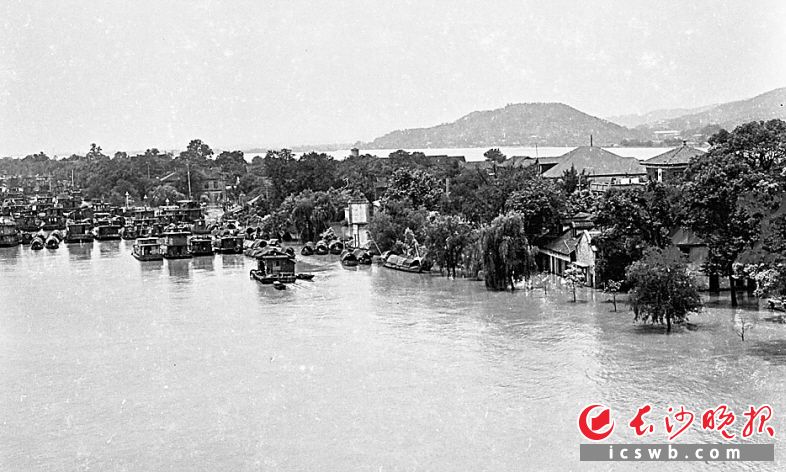 ↑1972年湘江洪水期间，橘子洲边停靠着大批船只，应街道和派出所的要求参与救灾。