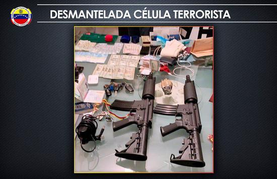 委内政部长证实:瓜伊多助手在反恐行动中被逮