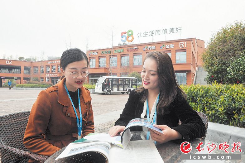 近日,58众创副总裁卢晔(右)在58小镇与员工讨论工作计划。长沙晚报全媒体记者 余劭劼 摄