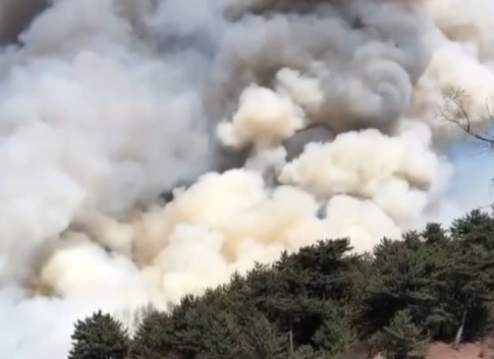 201904011451271877.png?x-oss-process=style/w10