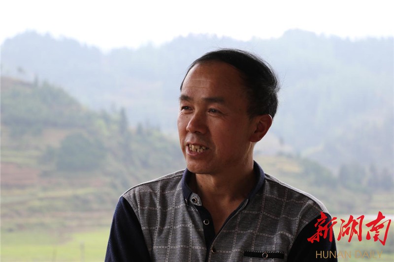 永顺县万民乡：“父子乡贤”用莓茶产业带领乡亲脱贫致富