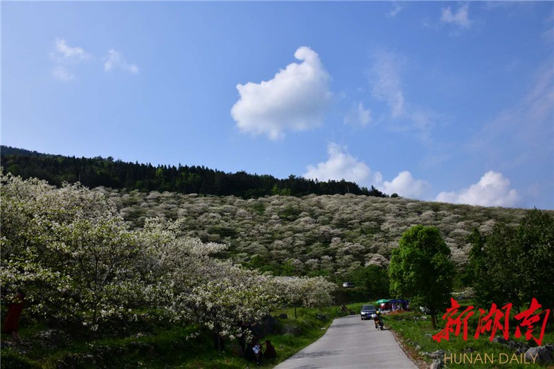 4月18日,湘西土家族苗族自治州永顺县青坪镇太坪村,张花高速穿村而