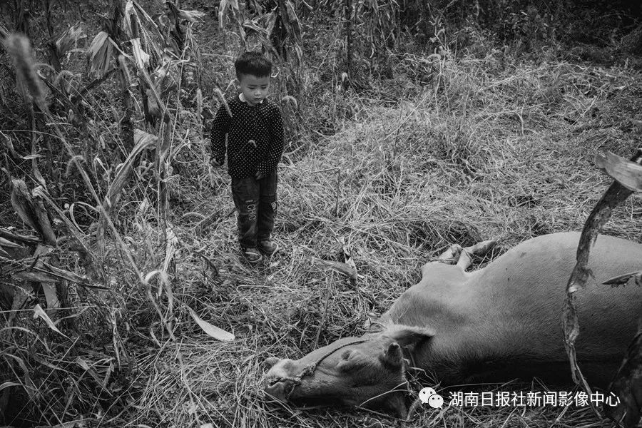 孩子,在纯真的世界里 新湖南www.hunanabc.com