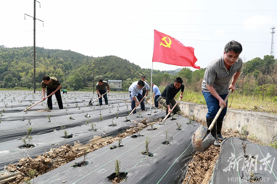 党日活动助生产自救 新湖南www.hunanabc.com