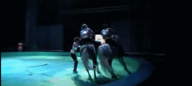 福利来了!这个五一,给长沙加点戏——国际大马戏重磅来袭!