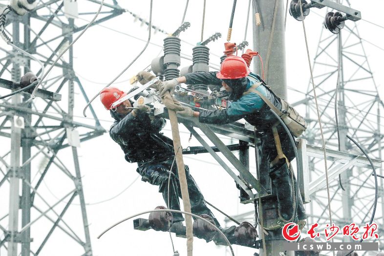 国网长沙供电公司员工正在位于长沙县的路口变电站进行设备安装。