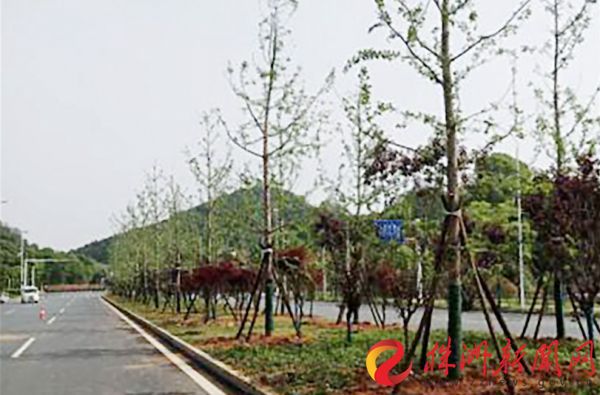 downLoad-20190508085301