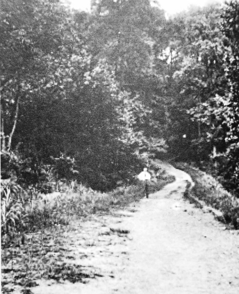 çæææ