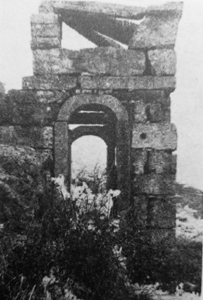 çæææ