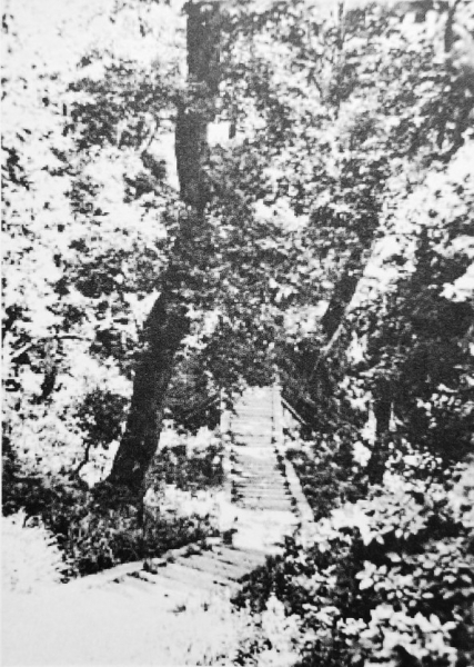 çæææ