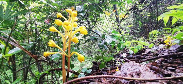 downLoad-20190517085049